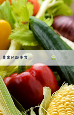 転職をお考えの方へ